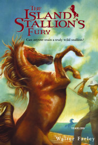 Cover of The Island Stallion\'s Fury cover