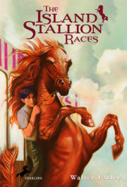 The Island Stallion Races 