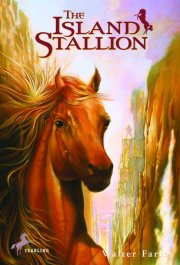 The Island Stallion 