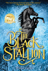 Cover of The Black Stallion cover