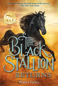 Cover of The Black Stallion Returns cover