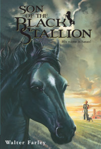 Cover of Son of the Black Stallion cover