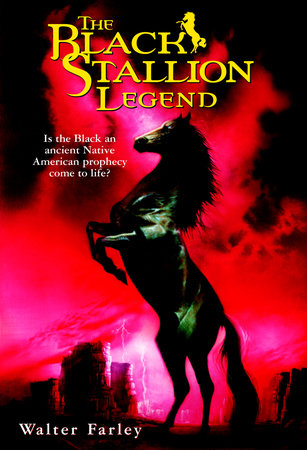 black stallion book