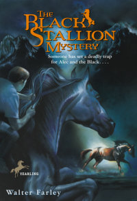 Cover of The Black Stallion Mystery cover