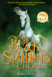 The Black Stallion's Ghost 