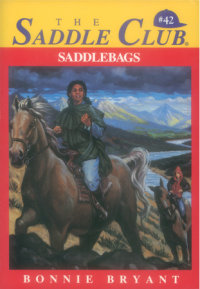Book cover for Saddle Bags