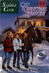 Book cover for Christmas Treasure
