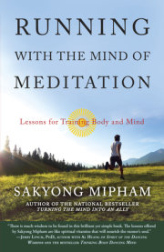 Running with the Mind of Meditation 