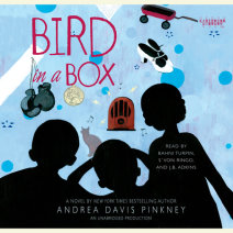 Bird in a Box Cover