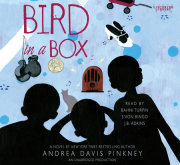 Bird in a Box 