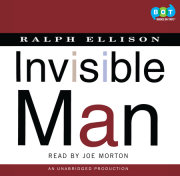 Invisible Man 