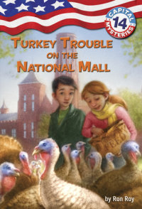Book cover for Capital Mysteries #14: Turkey Trouble on the National Mall