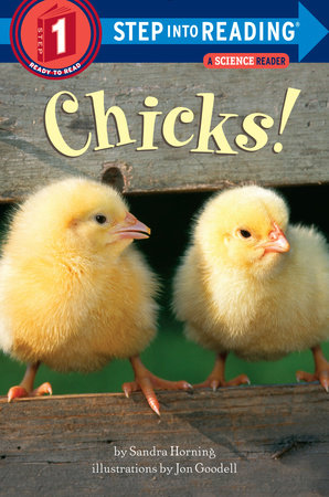 Chicks by Sandra Horning 9780307932211 PenguinRandomHouse