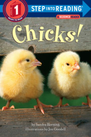 Chicks!