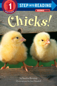 Book cover for Chicks!