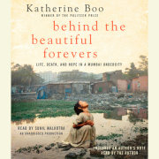 Behind the Beautiful Forevers 