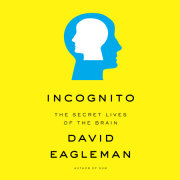Incognito 