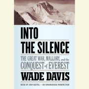 Into the Silence 