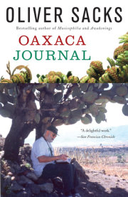 Oaxaca Journal 