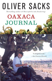 Oaxaca Journal 