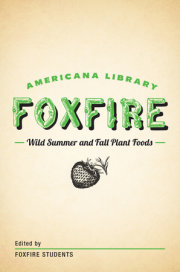 Wild Summer and Fall Plant Foods 