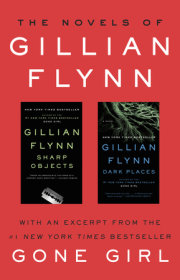 The Novels of Gillian Flynn 