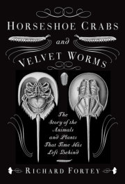 Horseshoe Crabs and Velvet Worms 