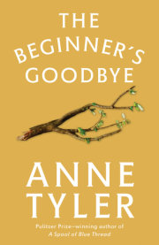 The Beginner's Goodbye