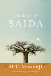 The Magic of Saida 