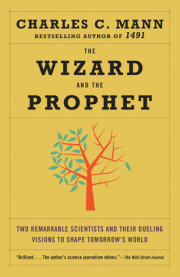 The Wizard and the Prophet 