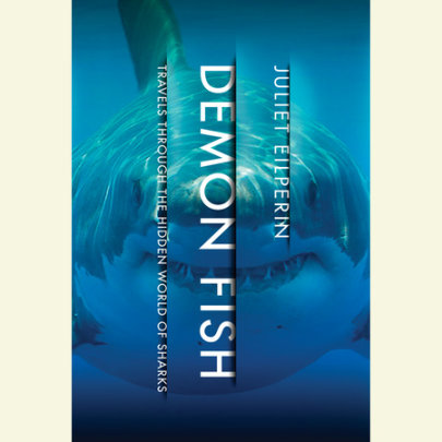 Demon Fish Cover