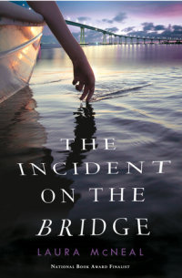 Cover of The Incident on the Bridge cover