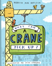 What Can a Crane Pick Up? 