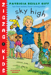 Book cover for Sky High