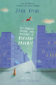 The Terrible Thing that Happened to Barnaby Brocket 