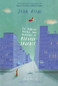 Book cover for The Terrible Thing that Happened to Barnaby Brocket