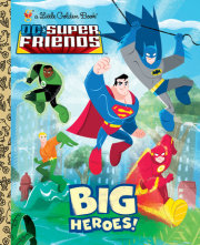 Big Heroes! (DC Super Friends) 