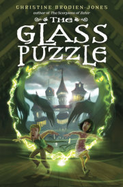 The Glass Puzzle 