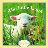 Book cover for The Little Lamb