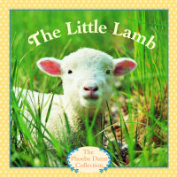 Cover of The Little Lamb