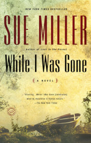While I Was Gone 