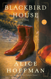 Blackbird House 