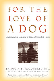 For the Love of a Dog 