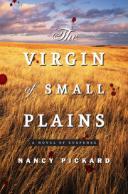 The Virgin of Small Plains 