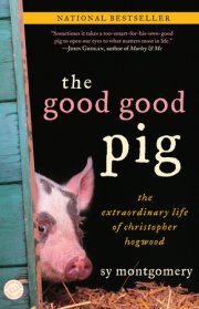 The Good Good Pig 