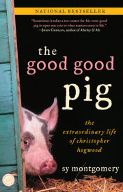 The Good Good Pig