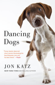 Dancing Dogs 