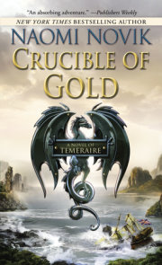 Crucible of Gold 