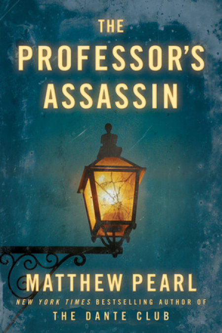 The Professor's Assassin