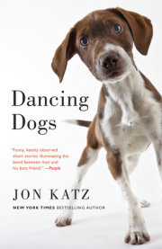 Dancing Dogs 